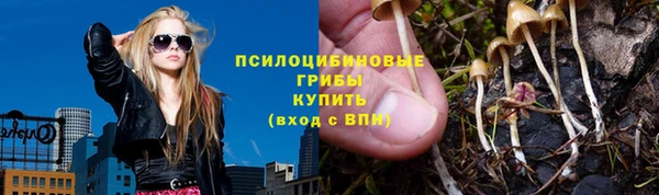 тгк Алексин