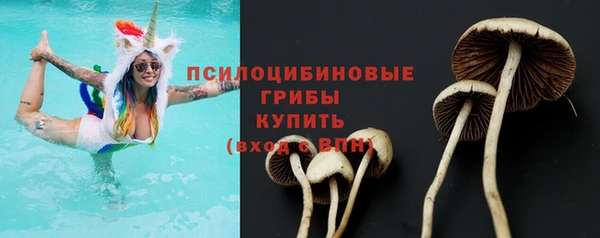 герыч Абаза