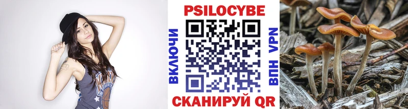 сколько стоит  Жигулёвск  Псилоцибиновые грибы мицелий 